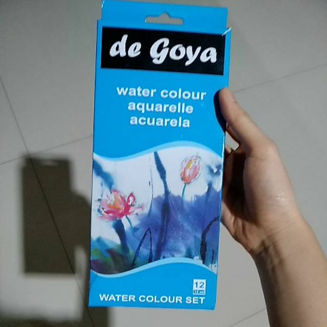 

de goya water colour