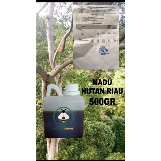

G02G Madu Hutan Sialang Riau(Murni) Berat 500Gr Ds5Gh