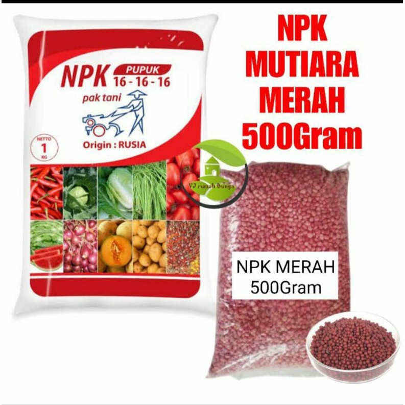 pupuk npk mutiara biru 1616 dan npk merah NKP