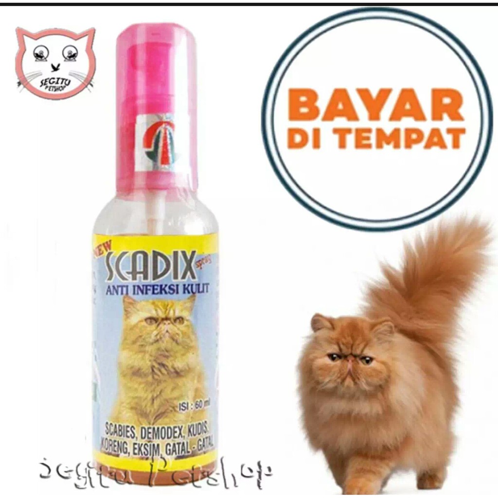 Obat kucing luka jamur koreng gatal Scabies Scadix Cat