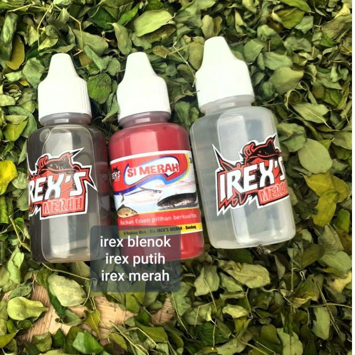 LANGSUNG KIRIM.. ESSEN IREXS blenok irex merah irex putih