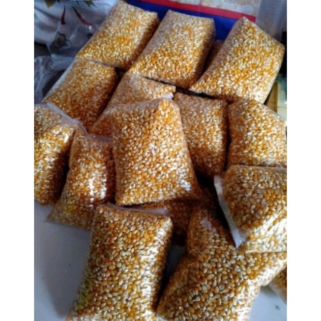 

Jagung Popcorn