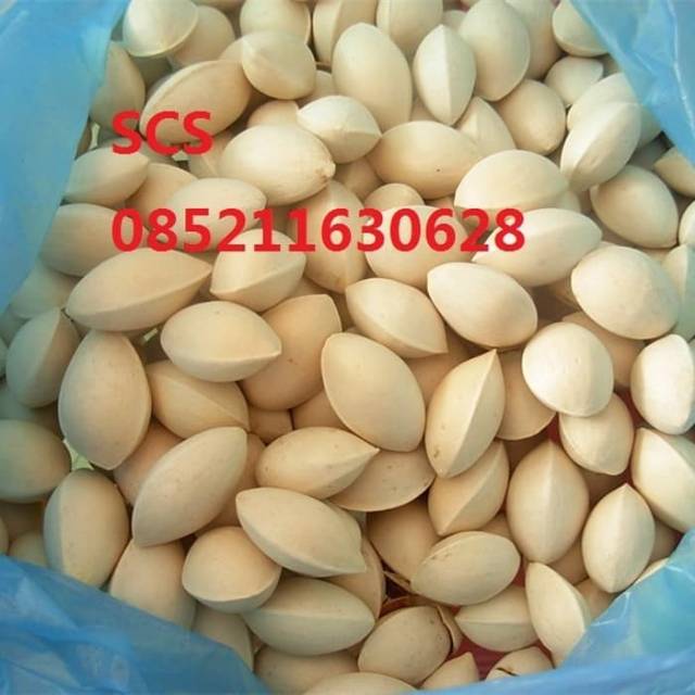 

Kacang Ginko Kering / Dried Gingko Nut / Bai guo 100gram