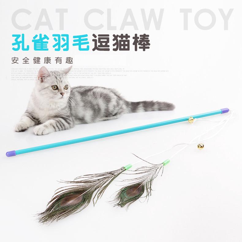 400 Gambar Burung Merak Dari Stik Gratis Terbaik