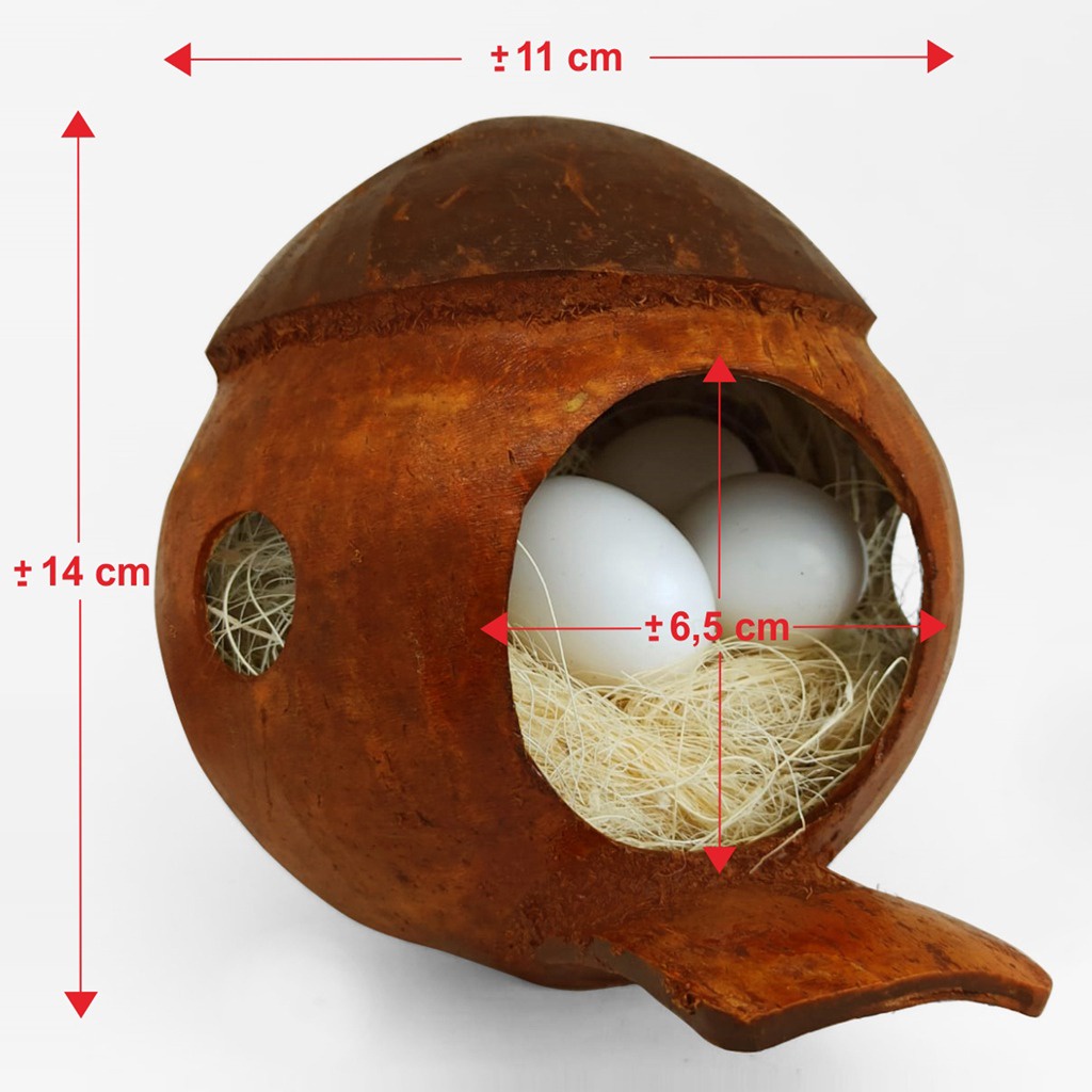 GLODOK BATOK KELAPA JEMBATAN GLODOK BAJING JEMBATAN GELODOK SARANG TERNAK BURUNG LOVEBIRD PARKIT NURI FALK RUMAH MAINAN SARANG SUGAR GLIDER HAMSTER