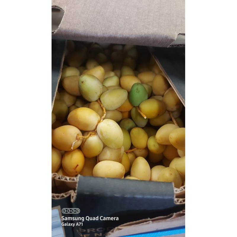 

kurma muda merah fress 250gr