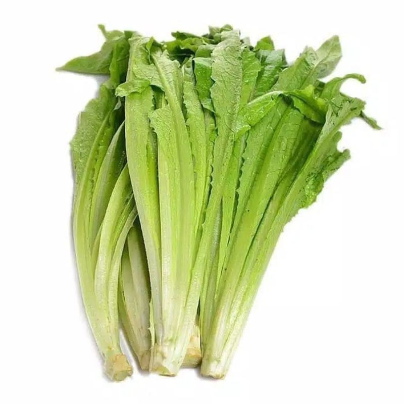 

SAYUR SIOMAK 250 GRAM TORTO KURA DARAT