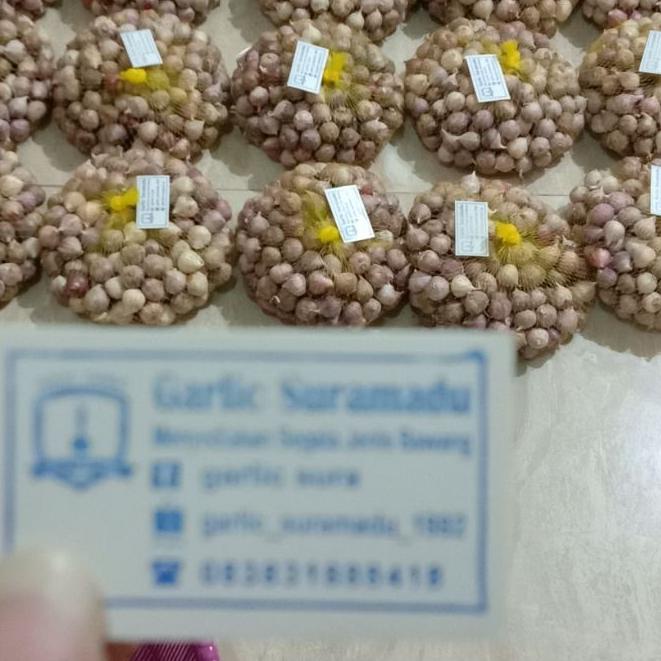

Quality Control✅Bawang putih tunggal kecil 1kg impor murah|KD4