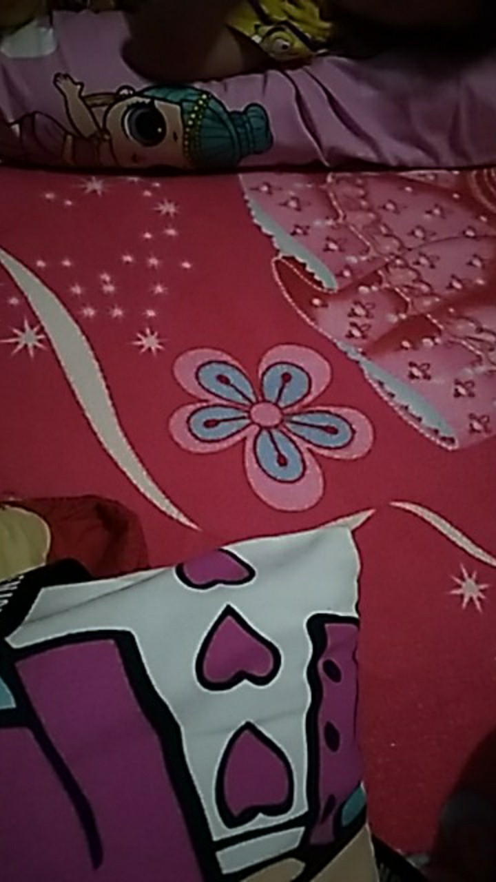 Sapu Lidi Kebut Tempat Tidur Kasur Bersih-bersih Murah Bagus - Sapu Lidi Kebut Diana