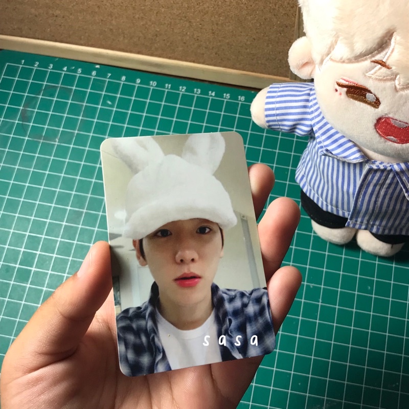 PC PHOTOCARD BAEKHYUN FOR LIFE (A) / BUNNY