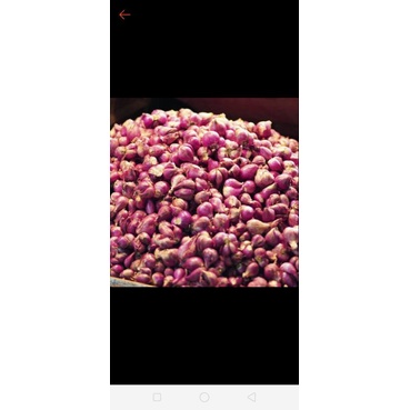 

Bawang merah super per 500 gr