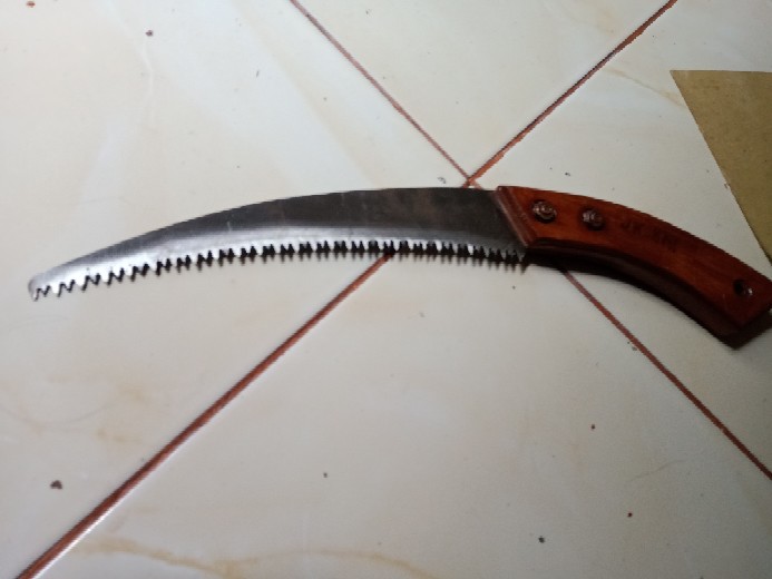 Gergaji Selendang Baru