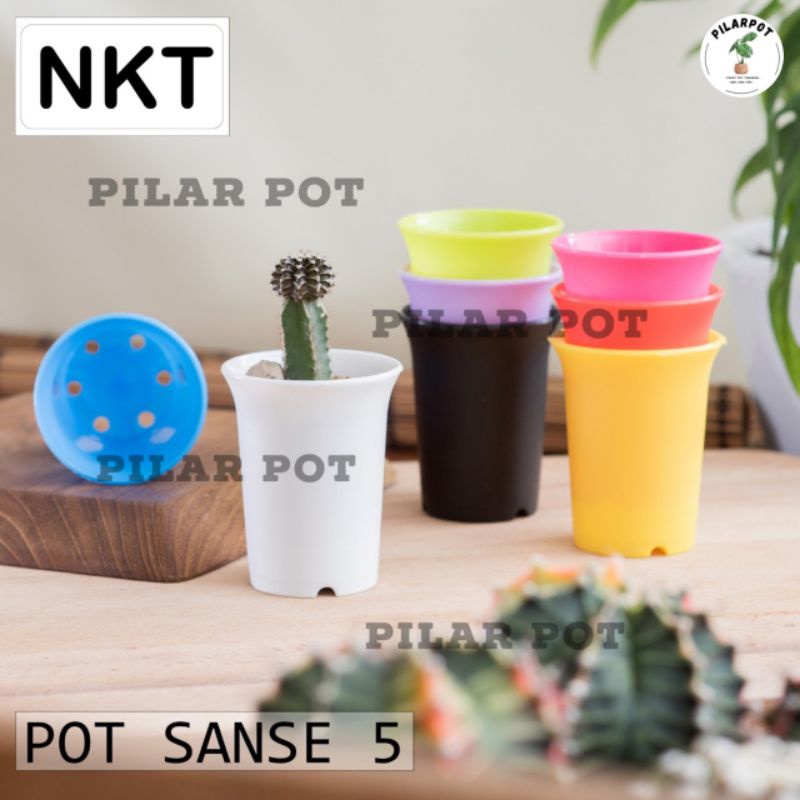 pot bunga tanaman mini nkt sanse 05 warna warni 5cm - NKT MINI SANSE 5