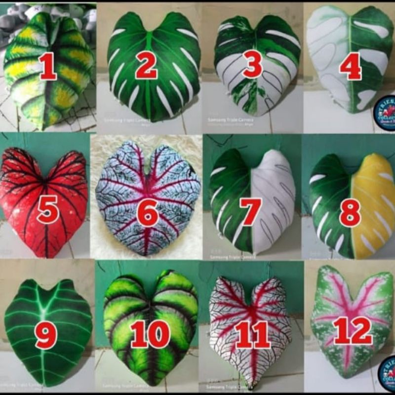 [cod] Bantal sofa unik / Bantal Daun Keladi Motif Daun Janda Bolong Terbaru Ukuran Besar 40*50 cm