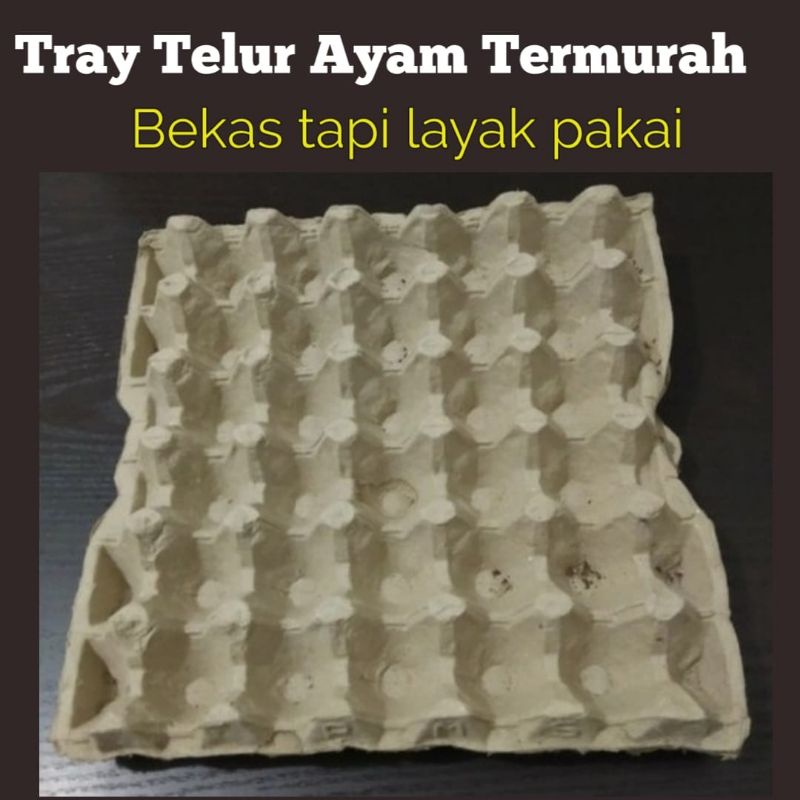 

Egg Tray - Tempat Telur - Wadah Telur Bekas Murah layak pakai