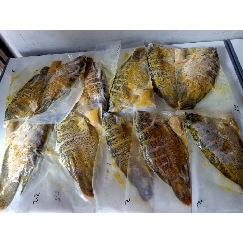 

Gurami Marinasi / Gurami Bumbu Panggang/ Gurami Frozen Marinasi