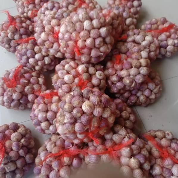 

Mall Bawang putih tunggal/Lanang impor kemasan 500gr buruan
