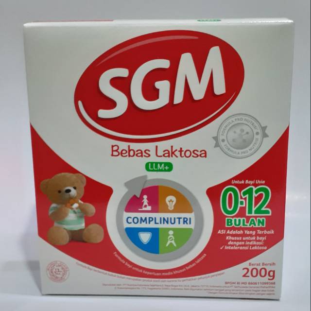 SGM LLM