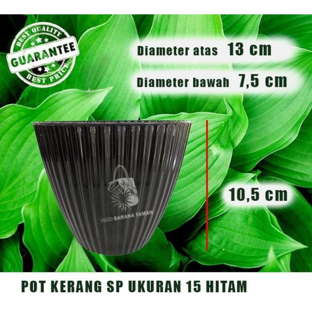 POT KERANG SP 15 HITAM Pot Tanaman Pot Bunga Pot Plastik Pot Motif Pot Unik Grosir Pot
