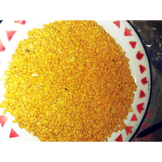 Biji KAWISTA BATU ATAU KAWISTA KRIKIL