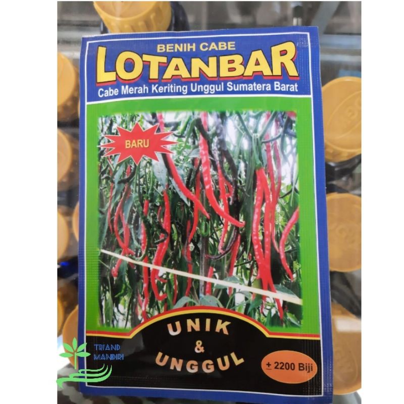 Benih Cabe LOTANBAR Cabe Merah Keriting Unggul Sumatera Barat
