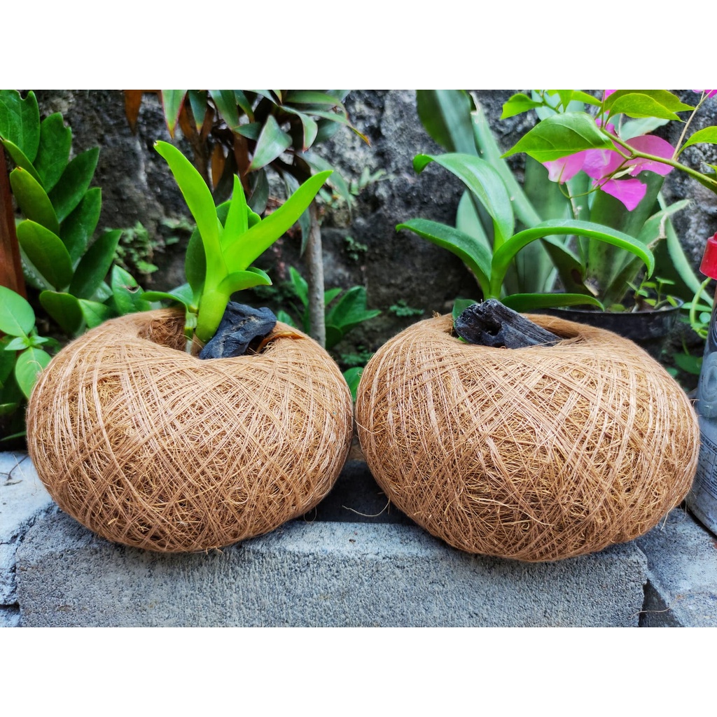 POT KOKEDAMA POT MEJA SIAP PAKAI DARI COCOFIBER SABUT KELAPA UNTUK HIASAN MEJA KANTOR MAUPUN CAFE