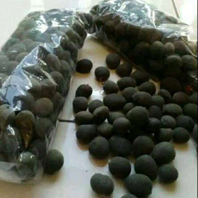 

Asem keranji has gunungsari