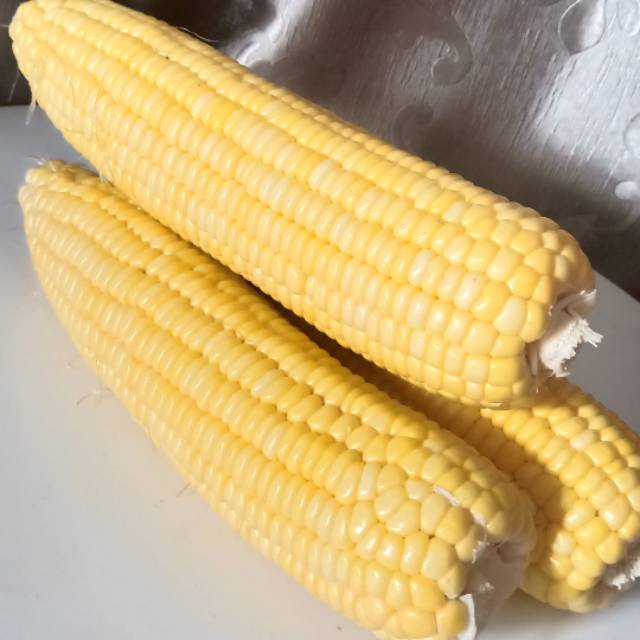 

Jagung manis 1 pcs