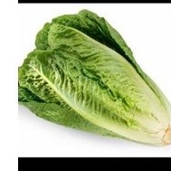 

Lettuce Romaine 1Kg