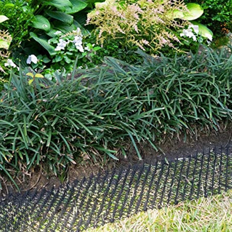 # Kaos T-Shirt Wanita Lengan Pendek Motif Print #Alat Pengusir Kucing Untuk Taman