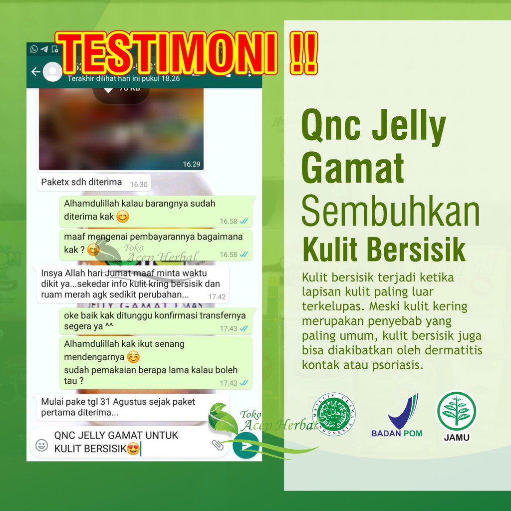 Obat Psoriasis Kulit Kepala Aman Untuk Anak Ampuh Ekstrak Teripang Emas Qnc Jelly Gamat Indonesia