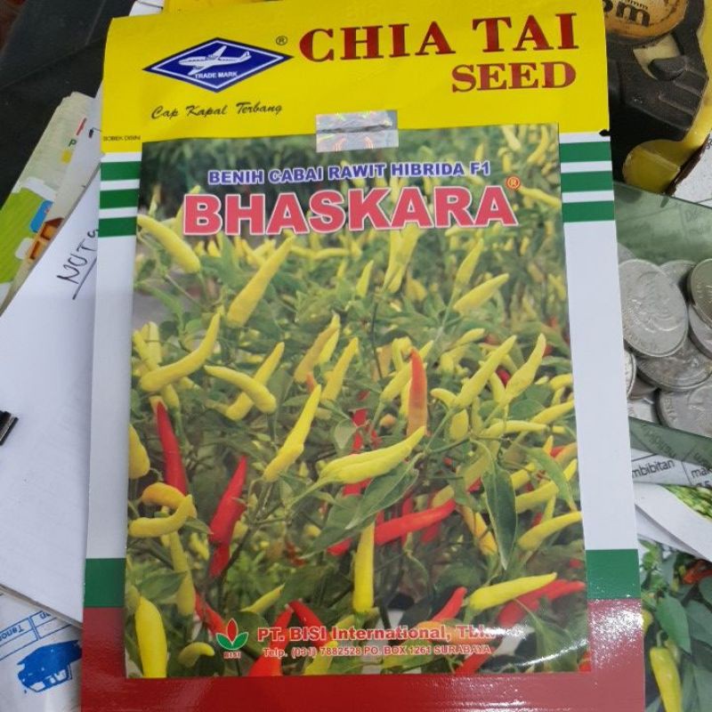 Jual Benih Cabai Rawit Hibrida Bhaskara Gram Shopee Indonesia