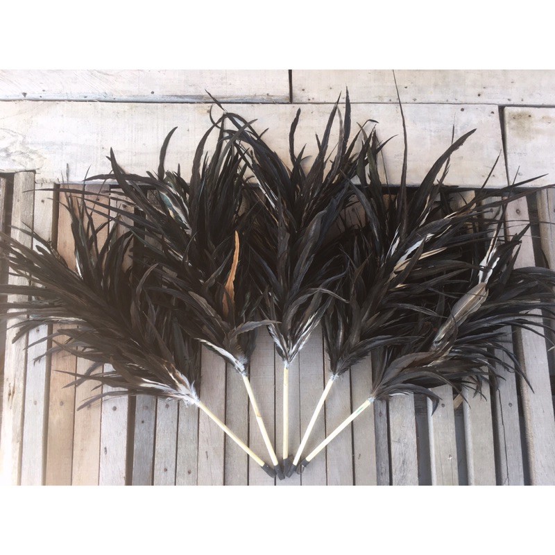 Kemoceng Bulu Ayam Jago Jumbo