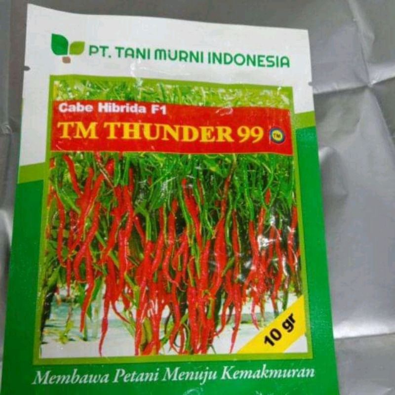 BENIH CABAI TM THUNDER 99 F1
