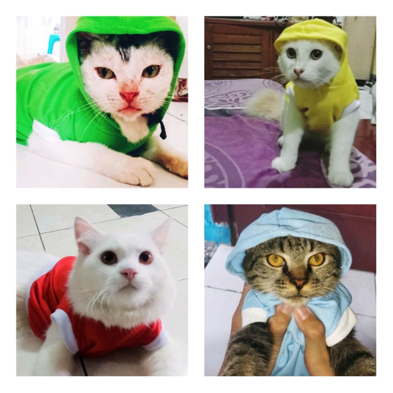 Baju kucing + Kalung lucu (sepaket)