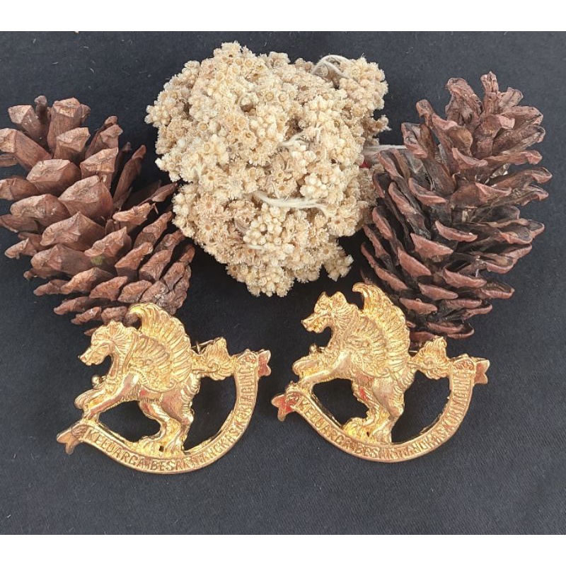 Bros keluarga besar tangkas kori agung bahan alpaka