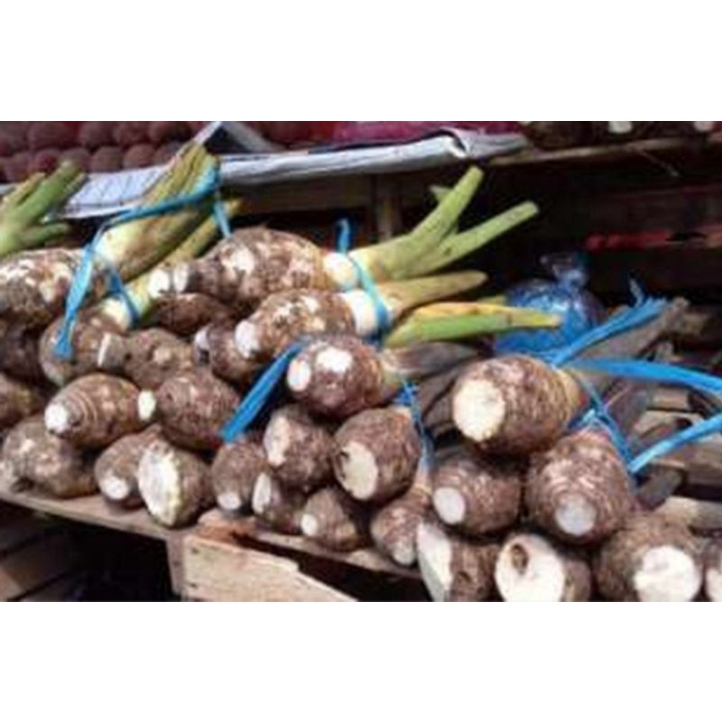 

RB talas Bogor 1kg