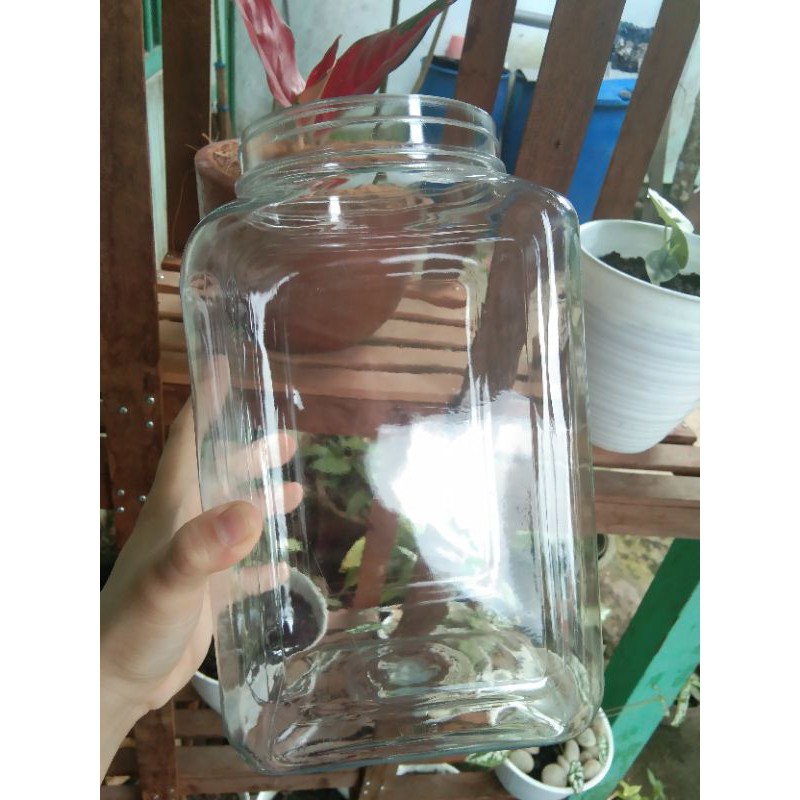 toples 4 liter dengan tutup