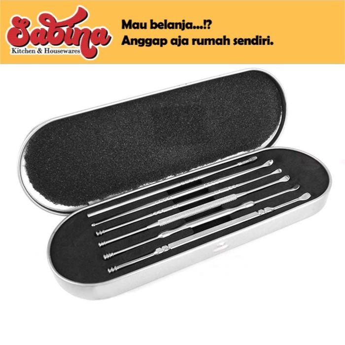 Spoon Pembersih Telinga Set Korek Kuping 6Pcs Stainless Steel