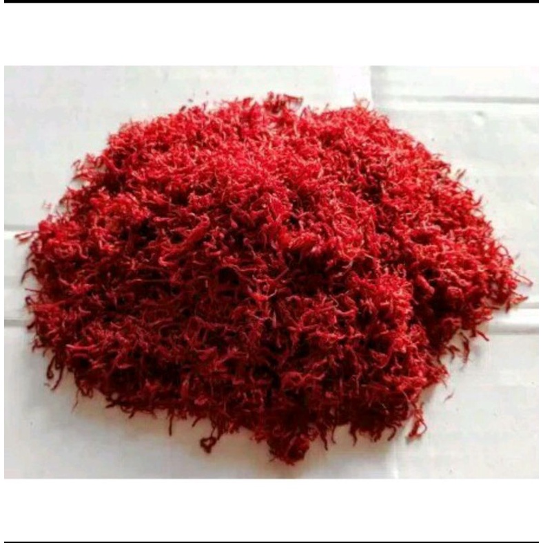 

450 G GR GRAM 西红花 XI HONG HUA BUNGA MERAH SPANYOL SAFFRON FLOWER SAFFLOWER