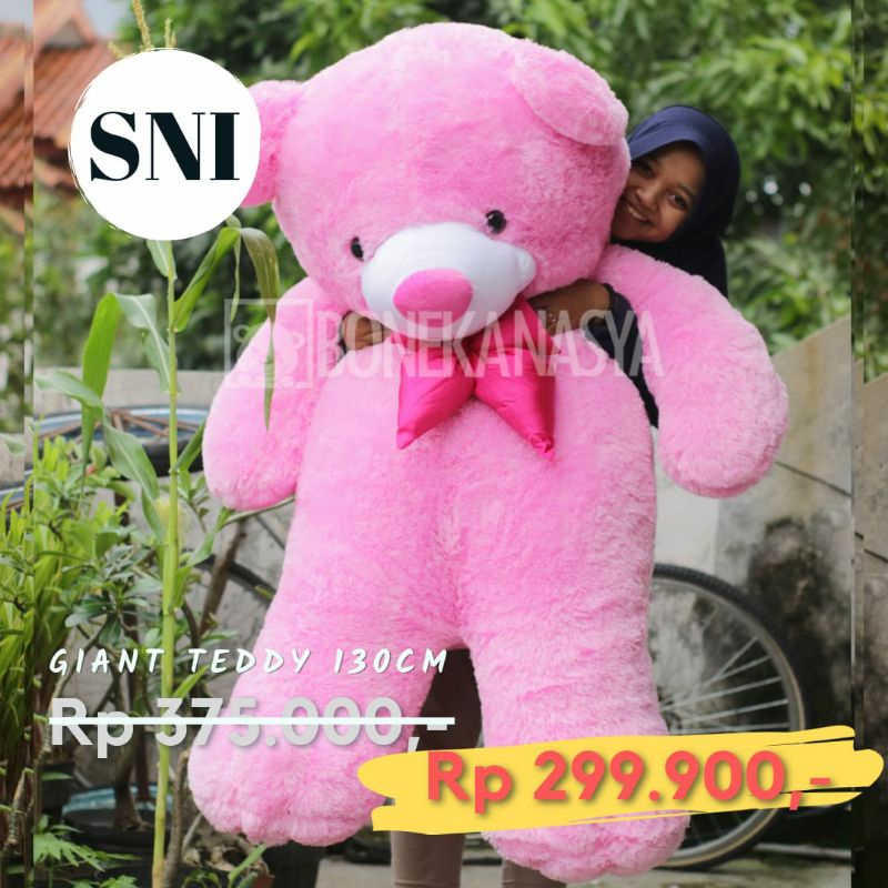 Boneka Jumbo Giant Murah Teddy Bear Beruang Besar Warna Pink Lucu Cocok untuk Kado dan Hadiah SNI