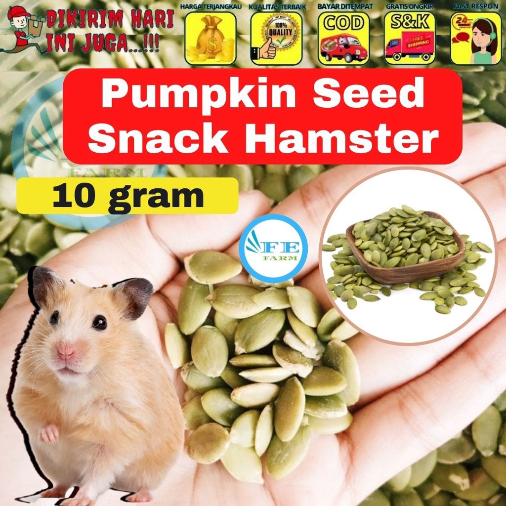 PUMPKIN SEEDS 10GR BIJI LABU KUNING MENTAH MATANG ORGANIK RAW ROASTED PEELED PEPITAS SEED HAMSTER FEFARM