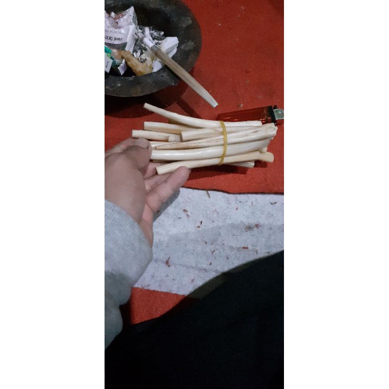 

cangklong rokok tulang ikan marlin