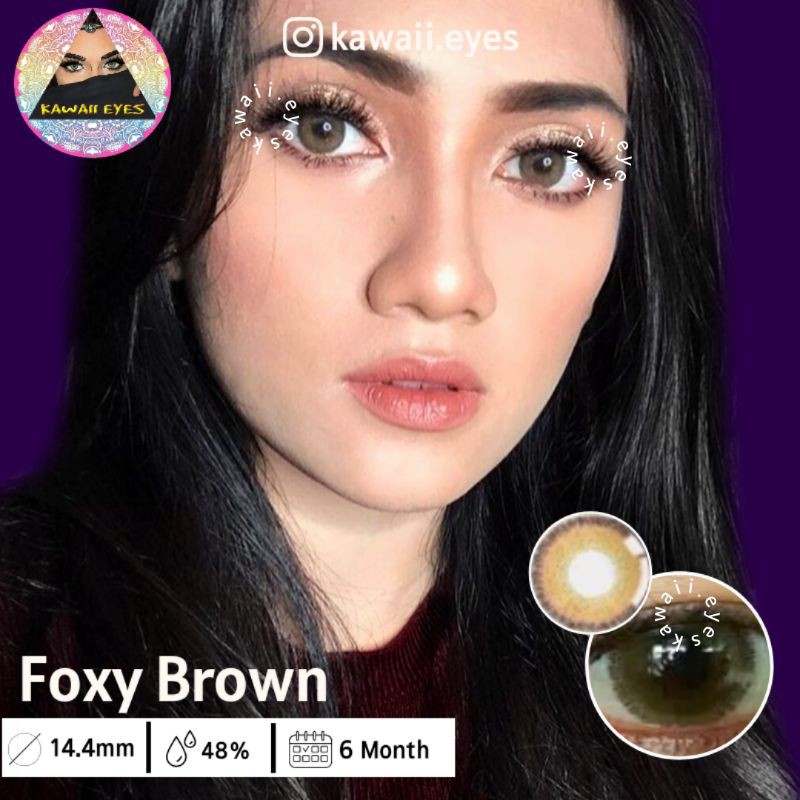 Softlens FOXY GREY & BROWN