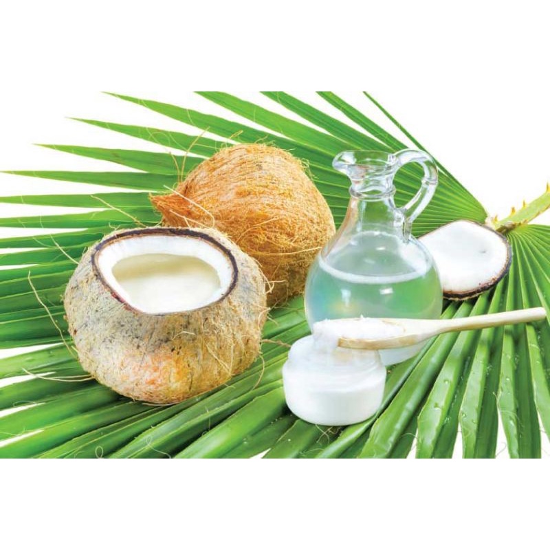 VCO murni Virgin Coconut Oil 100ml flip