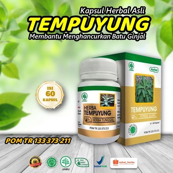 Obat Herbal Batu Ginjal, Batu Urin & Batu Empedu HERBAL TEMPUYUNG HIU 60 Kapsul