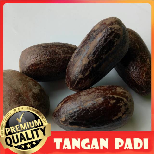 

Biji Pala Kering / Utuh / siki pala / polo kering (1pcs)