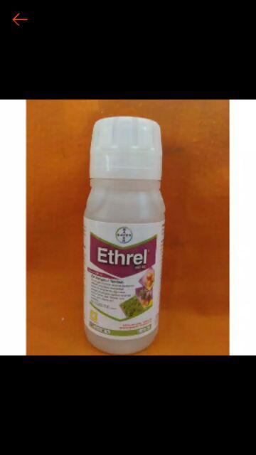 Zat Pengatur Tumbuh Tanaman(etrel 100ml)