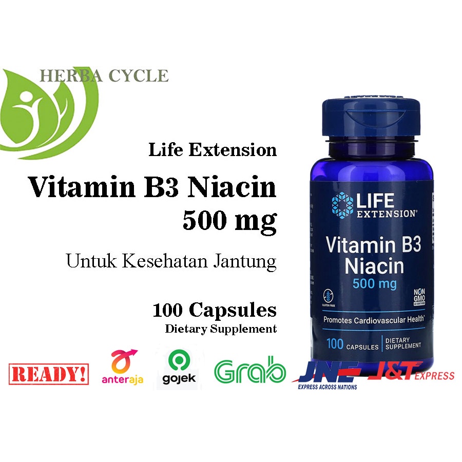 Life Extension Vit B3 Niacin 500 mg 100 Cap Life Ext Niacin B3