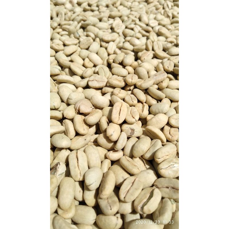 

coffee 99 GAYO arabica